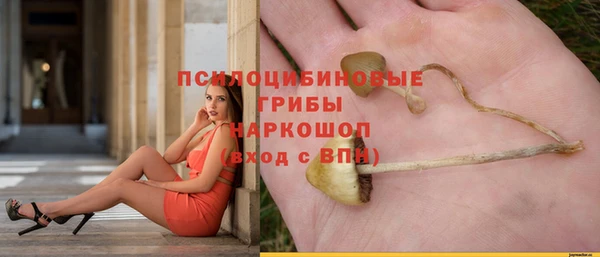 mdpv Пестово