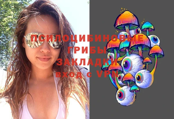 mdpv Пестово