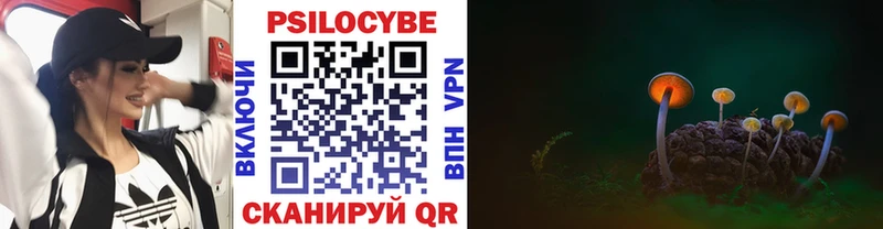 Галлюциногенные грибы MAGIC MUSHROOMS  где купить наркоту  Никольск 